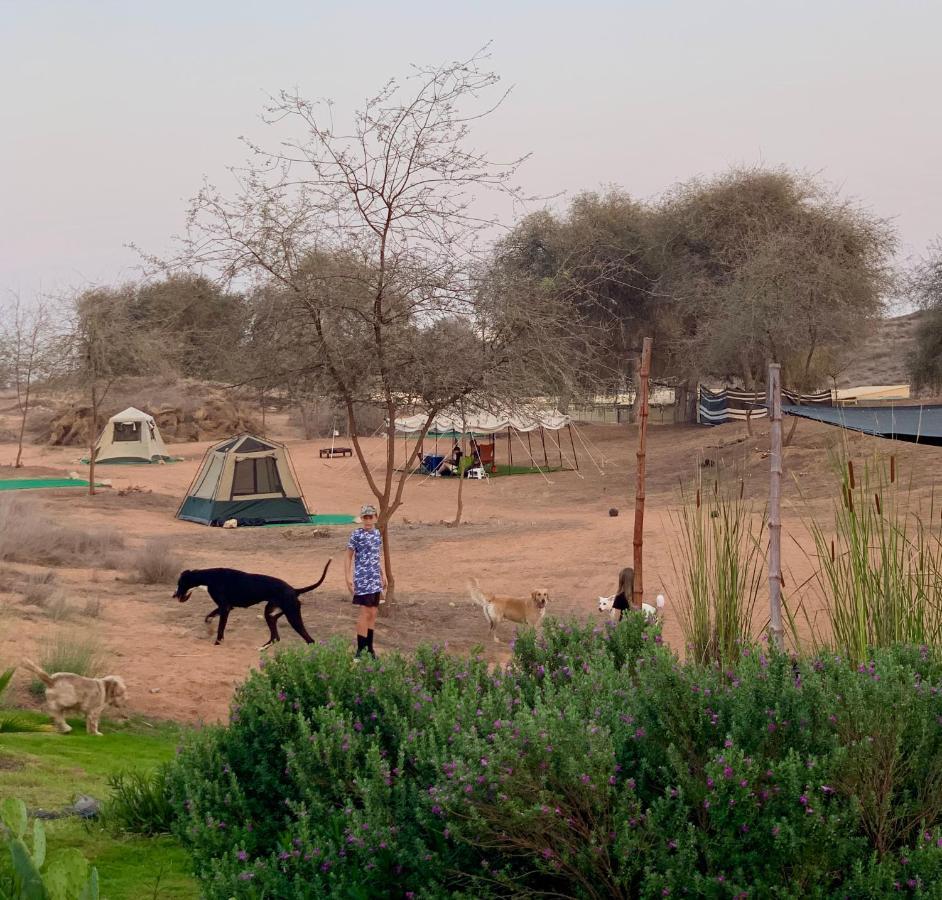 Rak Glamping Hotel Рас ал Хайм Екстериор снимка
