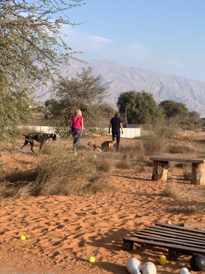 Rak Glamping Hotel Рас ал Хайм Екстериор снимка